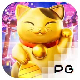 diplomaspaces: Lucky Neko