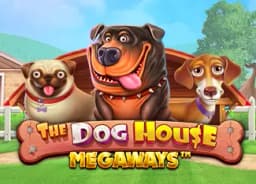 diplomaspaces: The Dog House Megaways